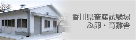 香川県畜産試験場 ふ卵・育雛舎　建築工事