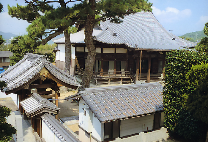 外観  全景